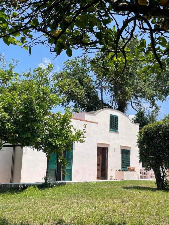 Villa Morea & Rooms In Procida Exterior photo