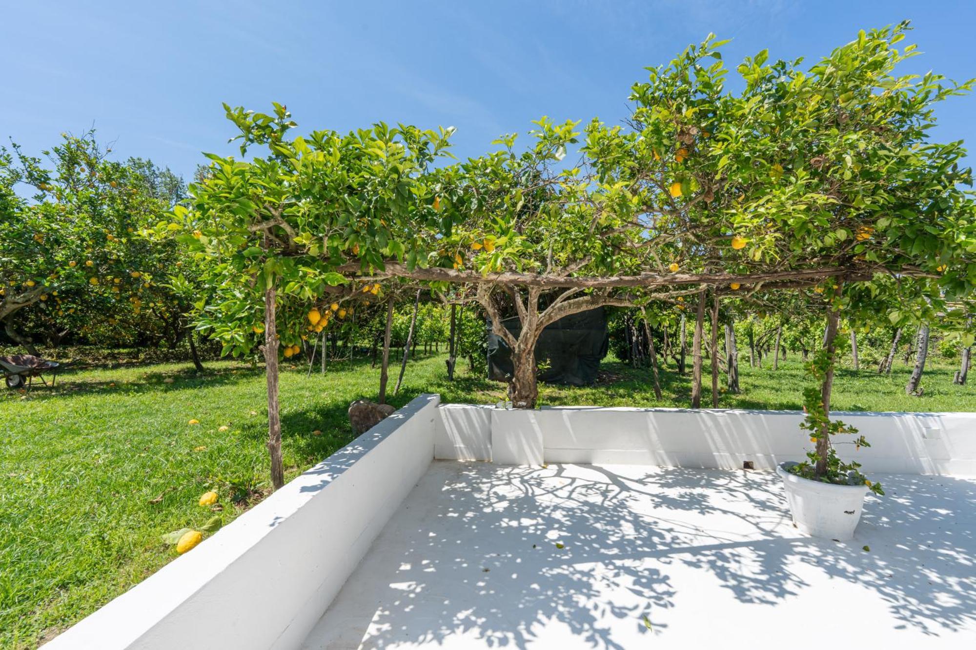 Villa Morea & Rooms In Procida Exterior photo